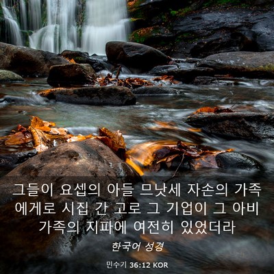 Picture 03 - 민수기 36:12 KOR - 그들이 요셉의 아들 므낫세 자손의 - Bible Verse Picture