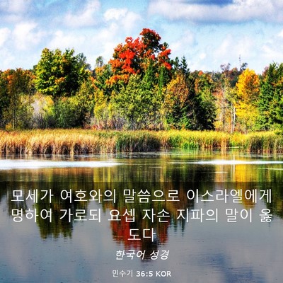 Picture 03 - 민수기 36:5 KOR - 모세가 여호와의 말씀으로 - Bible Verse Picture