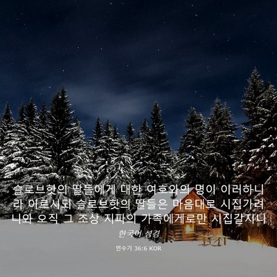 Picture 03 - 민수기 36:6 KOR - 슬로브핫의 딸들에게 대한 여호와의 - Bible Verse Picture