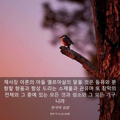 Picture 03 - 민수기 4:16 KOR - 제사장 아론의 아들 엘르아살의 맡을 - Bible Verse Picture