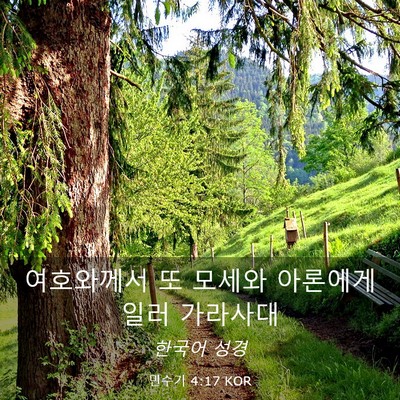 Picture 03 - 민수기 4:17 KOR - 여호와께서 또 모세와 아론에게 일러 - Bible Verse Picture