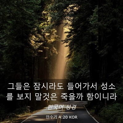 Picture 03 - 민수기 4:20 KOR - 그들은 잠시라도 들어가서 성소를 - Bible Verse Picture