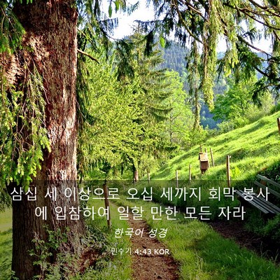 Picture 03 - 민수기 4:43 KOR - 삼십 세 이상으로 오십 세까지 회막 - Bible Verse Picture