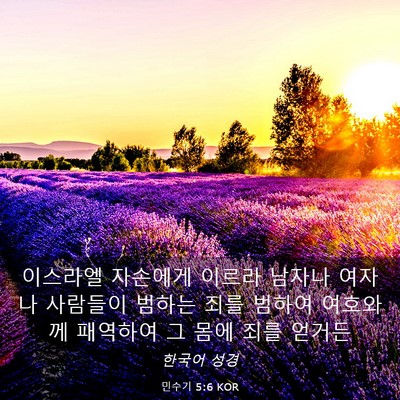 Picture 03 - 민수기 5:6 KOR - 이스라엘 자손에게 이르라 남자나 - Bible Verse Picture