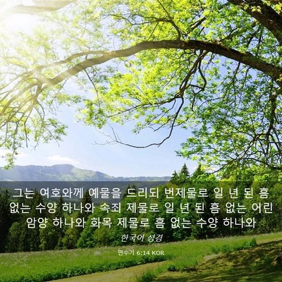 Picture 03 - 민수기 6:14 KOR - 그는 여호와께 예물을 드리되 - Bible Verse Picture