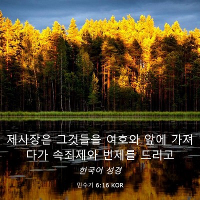 Picture 03 - 민수기 6:16 KOR - 제사장은 그것들을 여호와 앞에 - Bible Verse Picture