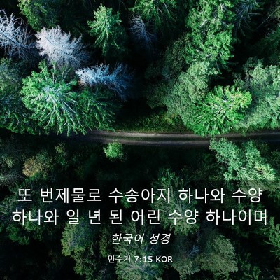 Picture 03 - 민수기 7:15 KOR - 또 번제물로 수송아지 하나와 수양 - Bible Verse Picture
