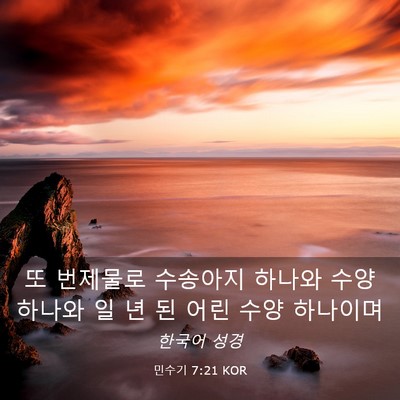 Picture 03 - 민수기 7:21 KOR - 또 번제물로 수송아지 하나와 수양 - Bible Verse Picture
