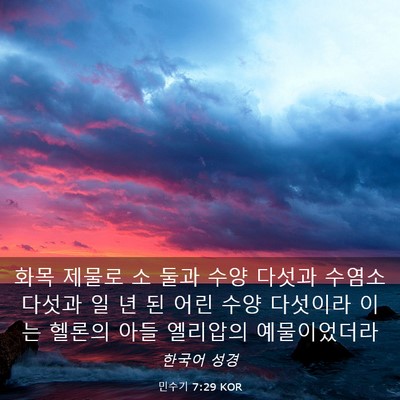 Picture 03 - 민수기 7:29 KOR - 화목 제물로 소 둘과 수양 다섯과 - Bible Verse Picture