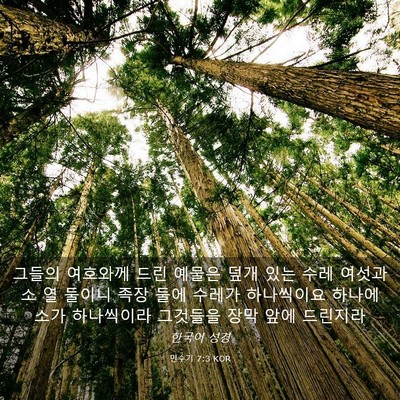 Picture 03 - 민수기 7:3 KOR - 그들의 여호와께 드린 예물은 덮개 - Bible Verse Picture