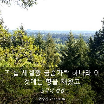 Picture 03 - 민수기 7:32 KOR - 또 십 세겔중 금숟가락 하나라 - Bible Verse Picture