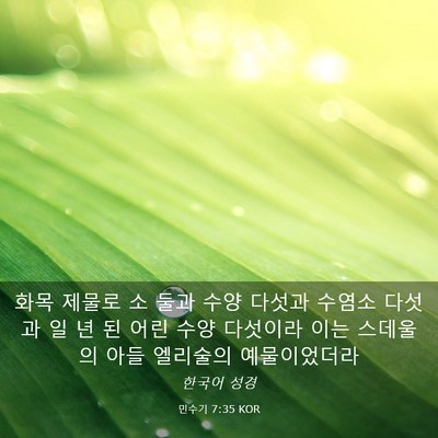 Picture 03 - 민수기 7:35 KOR - 화목 제물로 소 둘과 수양 다섯과 - Bible Verse Picture