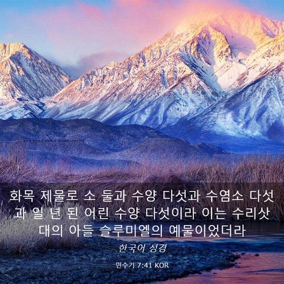 Picture 03 - 민수기 7:41 KOR - 화목 제물로 소 둘과 수양 다섯과 - Bible Verse Picture