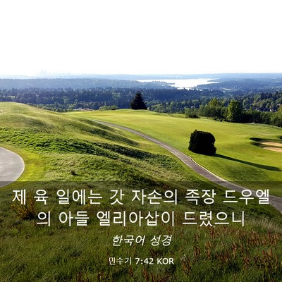 Picture 03 - 민수기 7:42 KOR - 제 육 일에는 갓 자손의 족장 - Bible Verse Picture