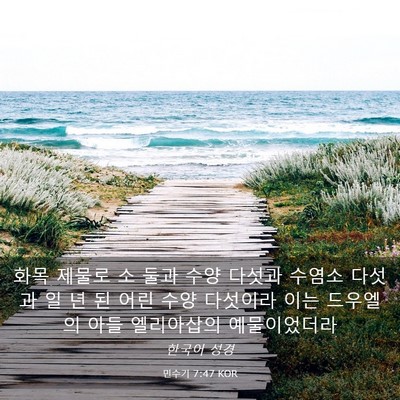 Picture 03 - 민수기 7:47 KOR - 화목 제물로 소 둘과 수양 다섯과 - Bible Verse Picture