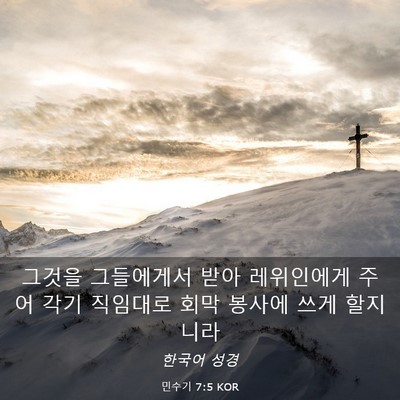 Picture 03 - 민수기 7:5 KOR - 그것을 그들에게서 받아 레위인에게 - Bible Verse Picture