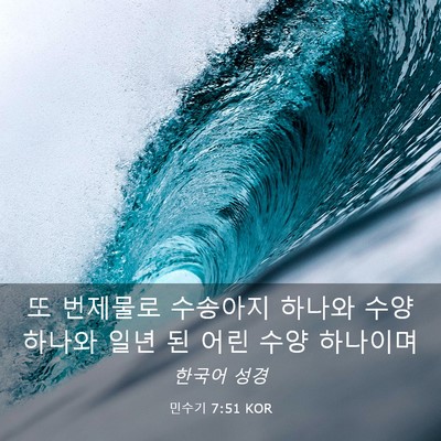 Picture 03 - 민수기 7:51 KOR - 또 번제물로 수송아지 하나와 수양 - Bible Verse Picture