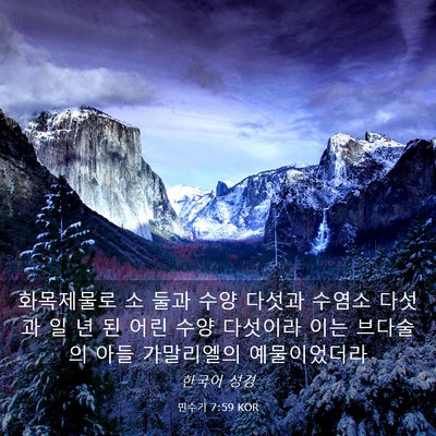 Picture 03 - 민수기 7:59 KOR - 화목제물로 소 둘과 수양 다섯과 - Bible Verse Picture