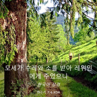 Picture 03 - 민수기 7:6 KOR - 모세가 수레와 소를 받아 레위인에게 - Bible Verse Picture