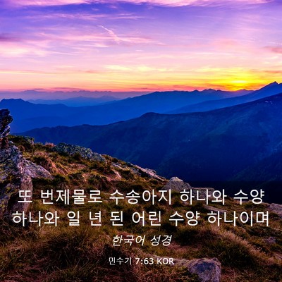 Picture 03 - 민수기 7:63 KOR - 또 번제물로 수송아지 하나와 수양 - Bible Verse Picture