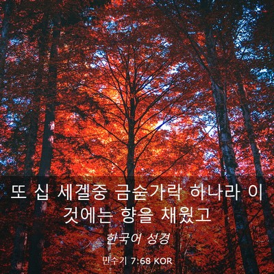 Picture 03 - 민수기 7:68 KOR - 또 십 세겔중 금숟가락 하나라 - Bible Verse Picture