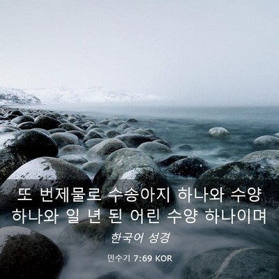 Picture 03 - 민수기 7:69 KOR - 또 번제물로 수송아지 하나와 수양 - Bible Verse Picture