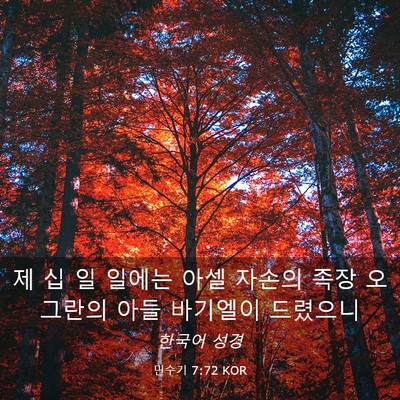 Picture 03 - 민수기 7:72 KOR - 제 십 일 일에는 아셀 자손의 족장 - Bible Verse Picture