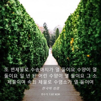 Picture 03 - 민수기 7:87 KOR - 또 번제물로 수송아지가 열 둘이요 - Bible Verse Picture