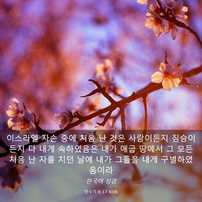 Picture 03 - 민수기 8:17 KOR - 이스라엘 자손 중에 처음 난 것은 - Bible Verse Picture