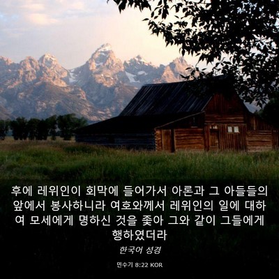 Picture 03 - 민수기 8:22 KOR - 후에 레위인이 회막에 들어가서 - Bible Verse Picture