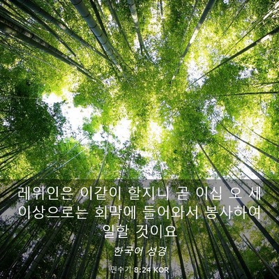 Picture 03 - 민수기 8:24 KOR - 레위인은 이같이 할지니 곧 이십 오 - Bible Verse Picture