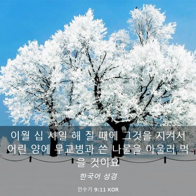 Picture 03 - 민수기 9:11 KOR - 이월 십 사일 해 질 때에 그것을 - Bible Verse Picture