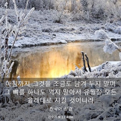 Picture 03 - 민수기 9:12 KOR - 아침까지 그것을 조금도 남겨 두지 - Bible Verse Picture