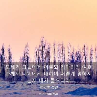 Picture 03 - 민수기 9:8 KOR - 모세가 그들에게 이르되 기다리라 - Bible Verse Picture