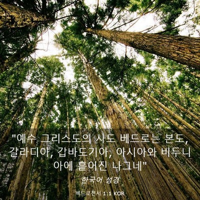 Picture 03 - 베드로전서 1:1 KOR - 