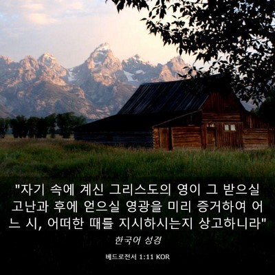 Picture 03 - 베드로전서 1:11 KOR - 