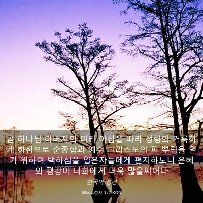 Picture 03 - 베드로전서 1:2 KOR - 곧 하나님 아버지의 미리 아심을 - Bible Verse Picture