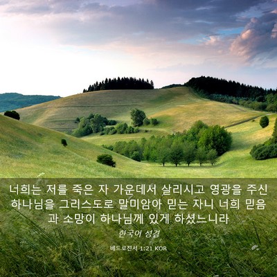 Picture 03 - 베드로전서 1:21 KOR - 너희는 저를 죽은 자 가운데서 - Bible Verse Picture