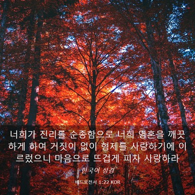 Picture 03 - 베드로전서 1:22 KOR - 너희가 진리를 순종함으로 너희 - Bible Verse Picture
