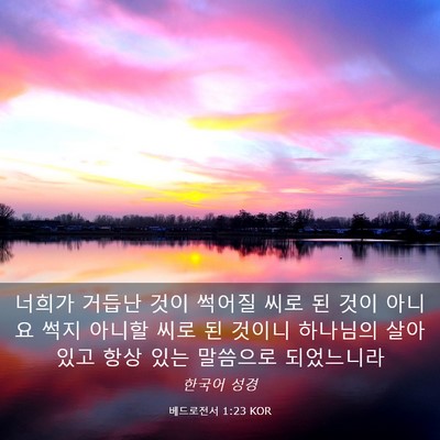 Picture 03 - 베드로전서 1:23 KOR - 너희가 거듭난 것이 썩어질 씨로 된 - Bible Verse Picture