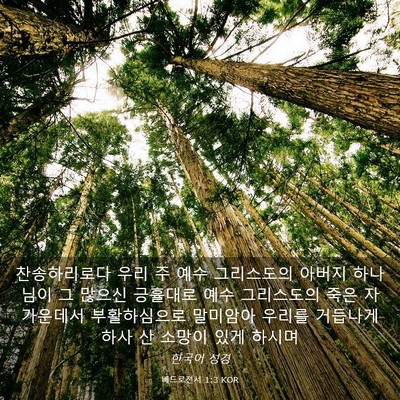 Picture 03 - 베드로전서 1:3 KOR - 찬송하리로다 우리 주 예수 - Bible Verse Picture