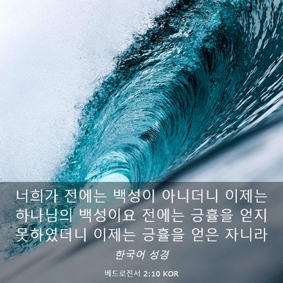 Picture 03 - 베드로전서 2:10 KOR - 너희가 전에는 백성이 아니더니 - Bible Verse Picture