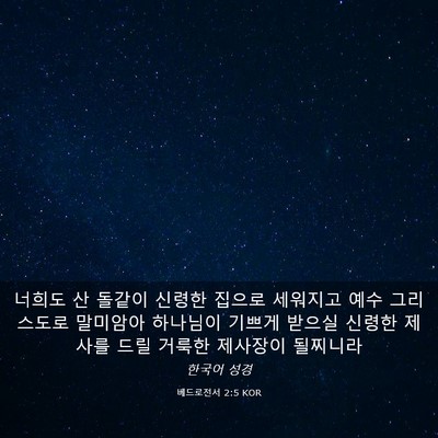Picture 03 - 베드로전서 2:5 KOR - 너희도 산 돌같이 신령한 집으로 - Bible Verse Picture