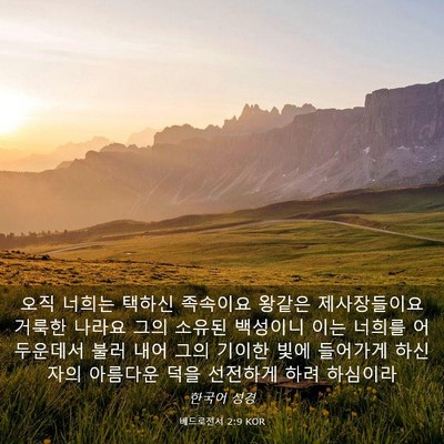 Picture 03 - 베드로전서 2:9 KOR - 오직 너희는 택하신 족속이요 왕같은 - Bible Verse Picture