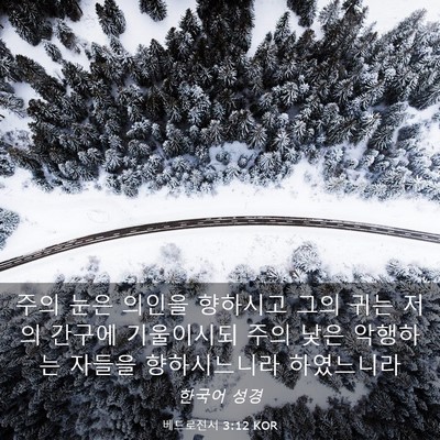 Picture 03 - 베드로전서 3:12 KOR - 주의 눈은 의인을 향하시고 그의 - Bible Verse Picture