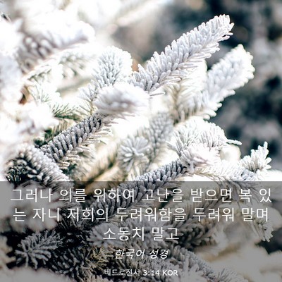 Picture 03 - 베드로전서 3:14 KOR - 그러나 의를 위하여 고난을 받으면 - Bible Verse Picture
