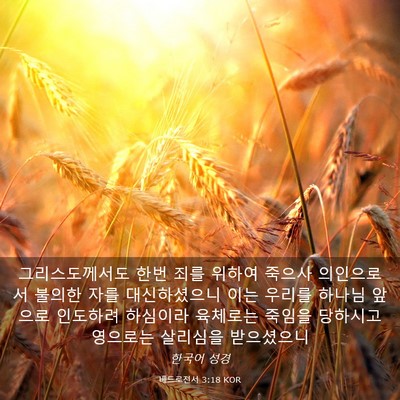 Picture 03 - 베드로전서 3:18 KOR - 그리스도께서도 한번 죄를 위하여 - Bible Verse Picture