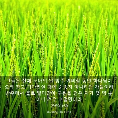 Picture 03 - 베드로전서 3:20 KOR - 그들은 전에 노아의 날 방주 예비할 - Bible Verse Picture