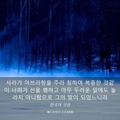 Picture 03 - 베드로전서 3:6 KOR - 사라가 아브라함을 주라 칭하여 - Bible Verse Picture