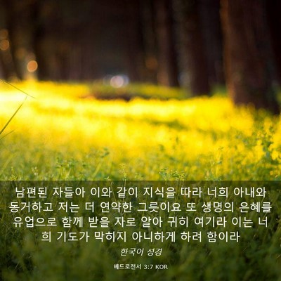 Picture 03 - 베드로전서 3:7 KOR - 남편된 자들아 이와 같이 지식을 - Bible Verse Picture